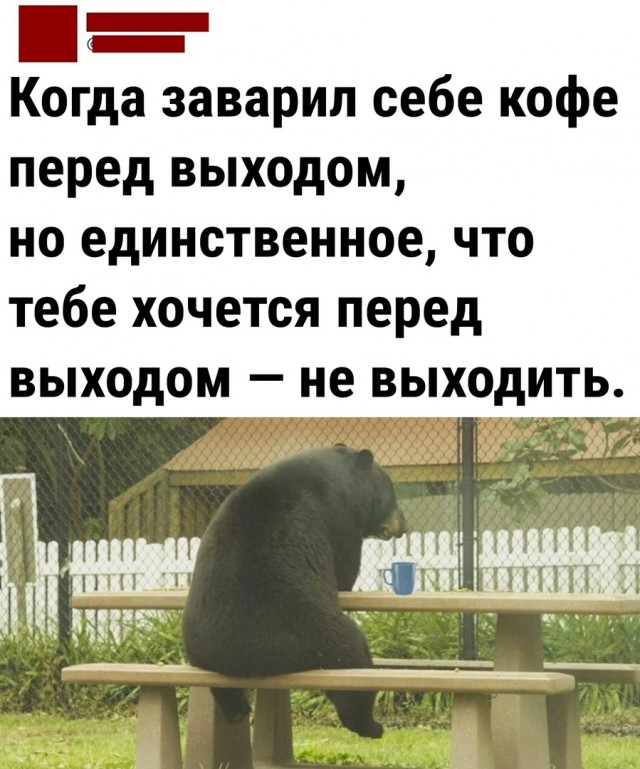 Так себе картинки 15.05.22