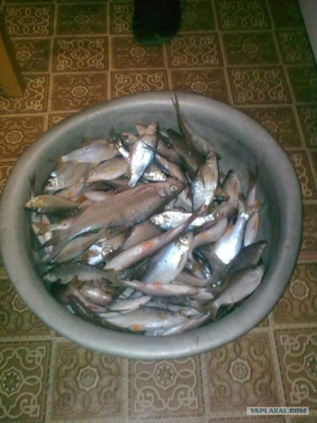 Спонтанная рыбалка