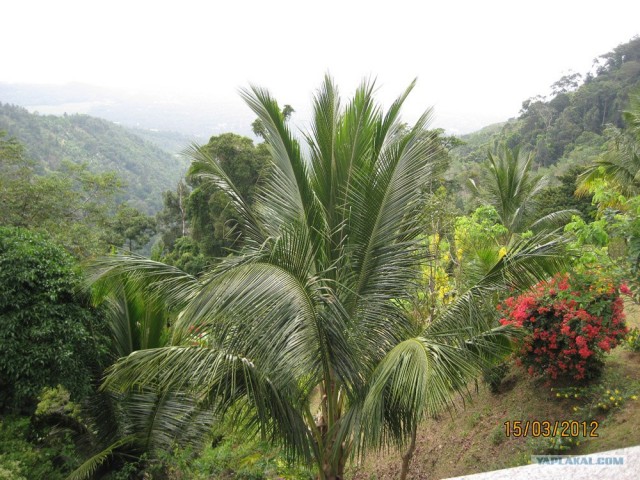 Такой разный остров Самуи