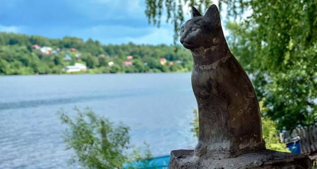 Когда очень любил свою кошку