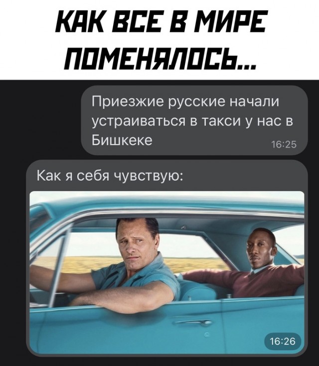 Весёлый полтишок 10.10.22
