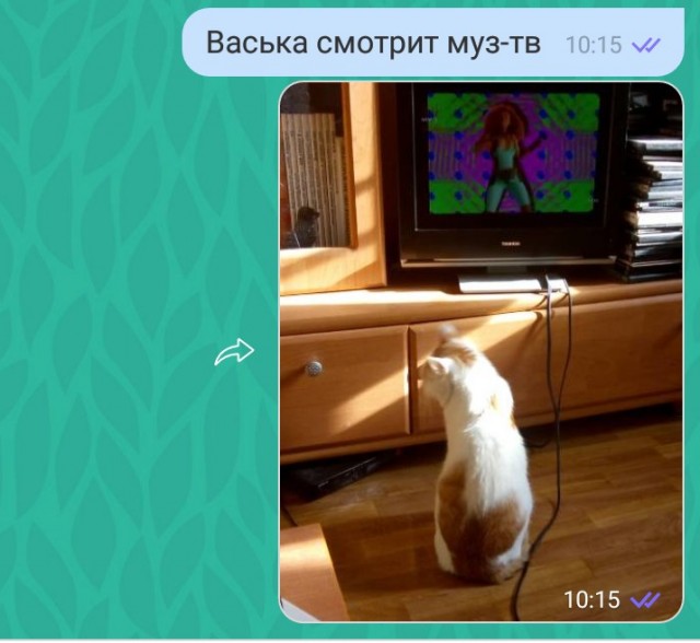 Eurodance: музыка дискотек 90-х