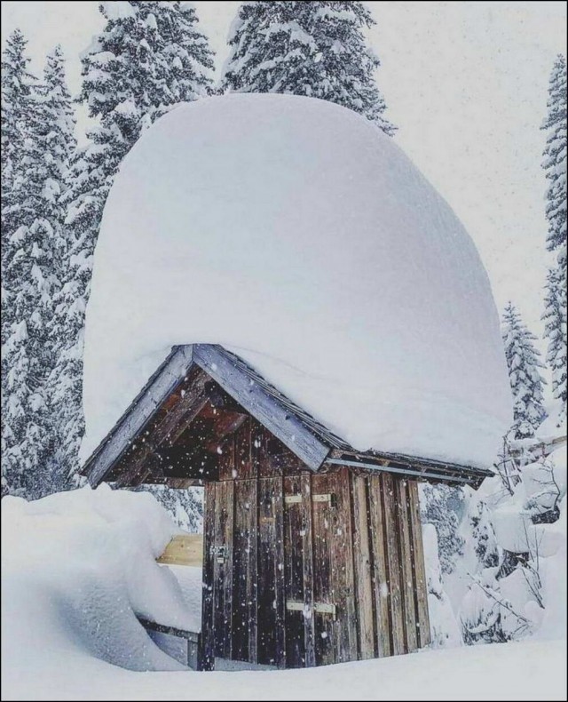 Прикольные и просто красивые картинки 02.12.2022