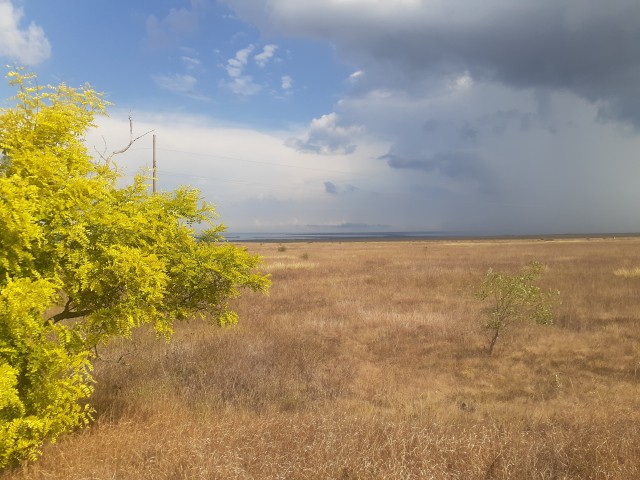 Моя мобильная фотография
