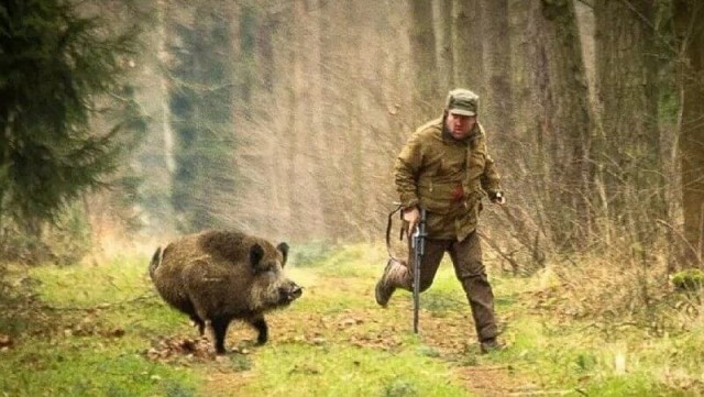 Каждый охотник желает знать...