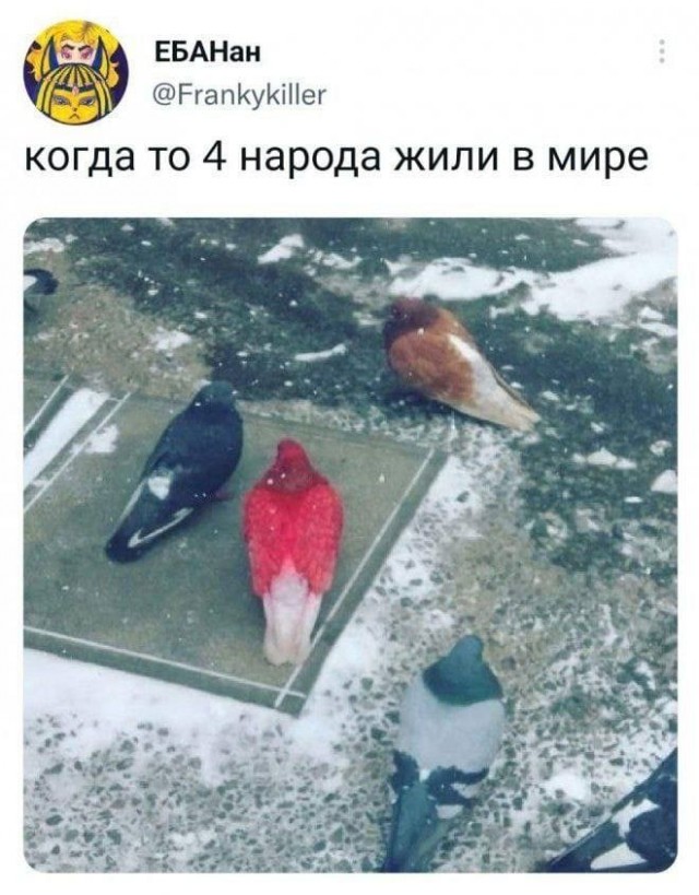 Картинки аморальные и всякие разные - 47