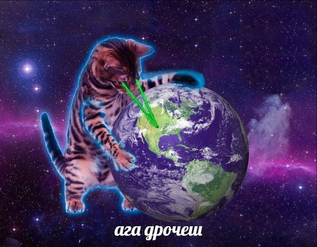 From дурдом (баяны)