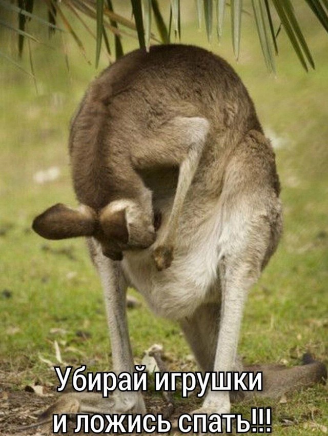 Подборка картинок 14.04.2023
