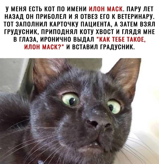 Немного картинок и прочей хреноты Vol. 22