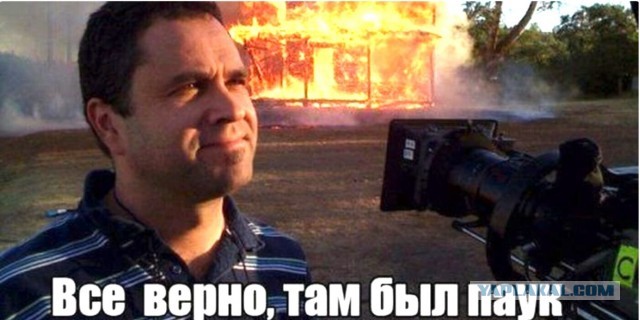 Удаление огромного гнезда шершней