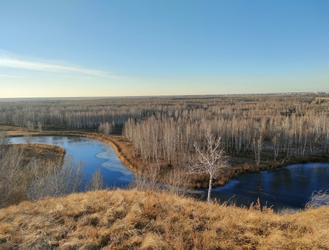 Красивые фото ЯПа