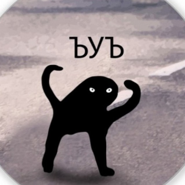 Из здания МГУ изгоняют котов. Совсем офонарели?!