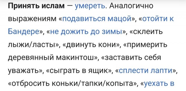 Александр Емельяненко принял ислам