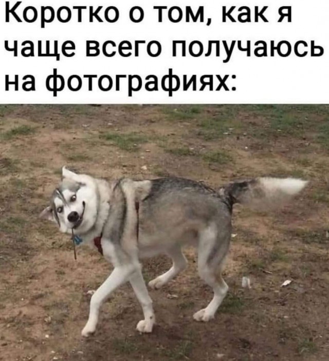 Улыбательные картинки разной степени свежести