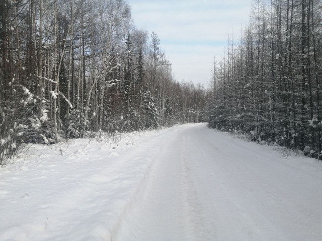 Сибирь-Тайга, -30 тепло...