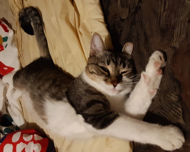 Сборник рассказов ЯПовских авторов. Обсуждение проблемы.