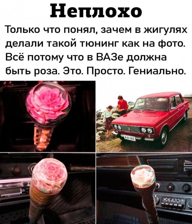 Весёлый полтишок 05.05.24