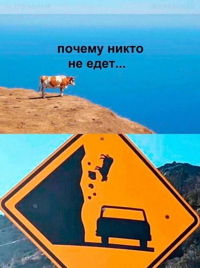 Картинки