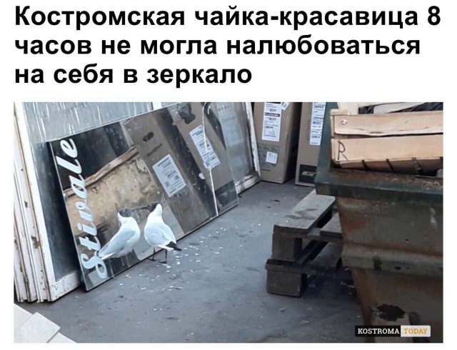 Завалялось тут случайно немного забавных картинок