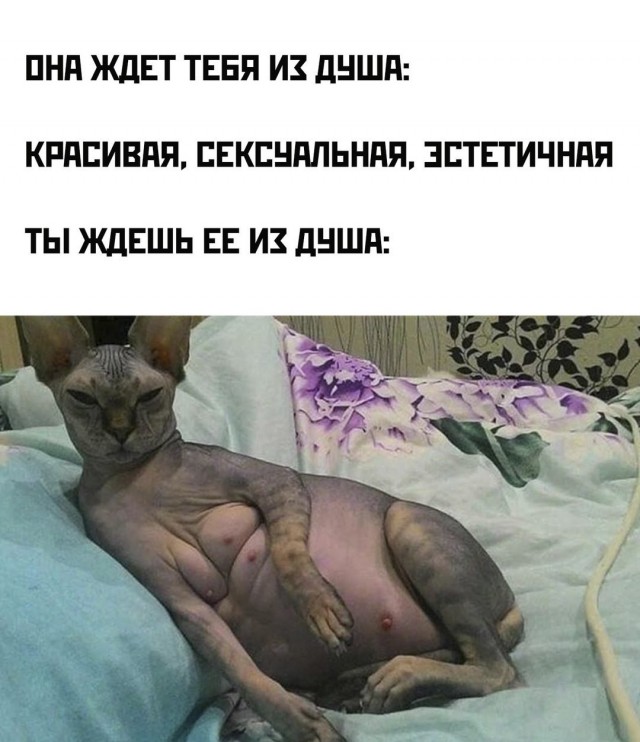 Картинки разные