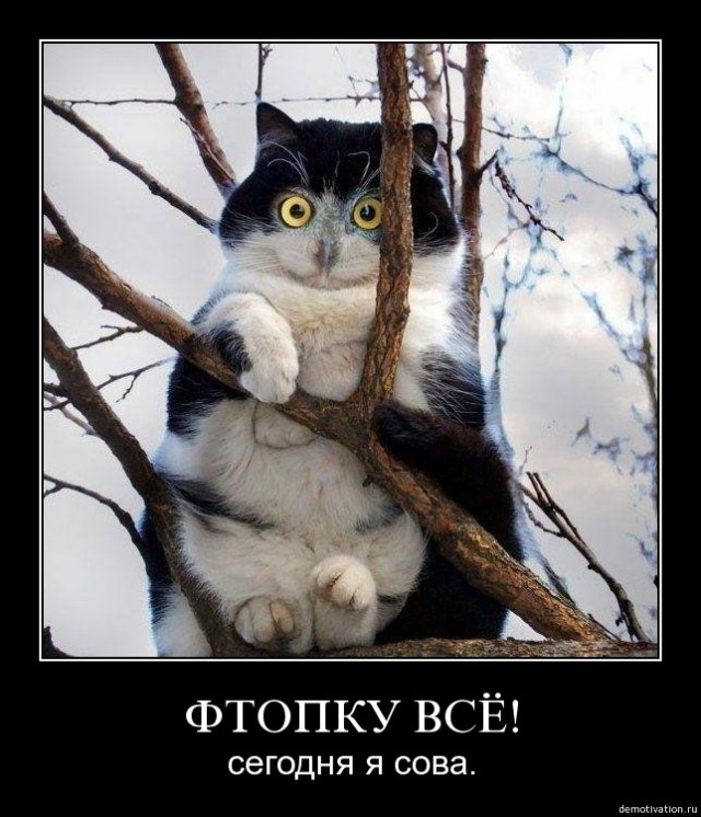 Затесался