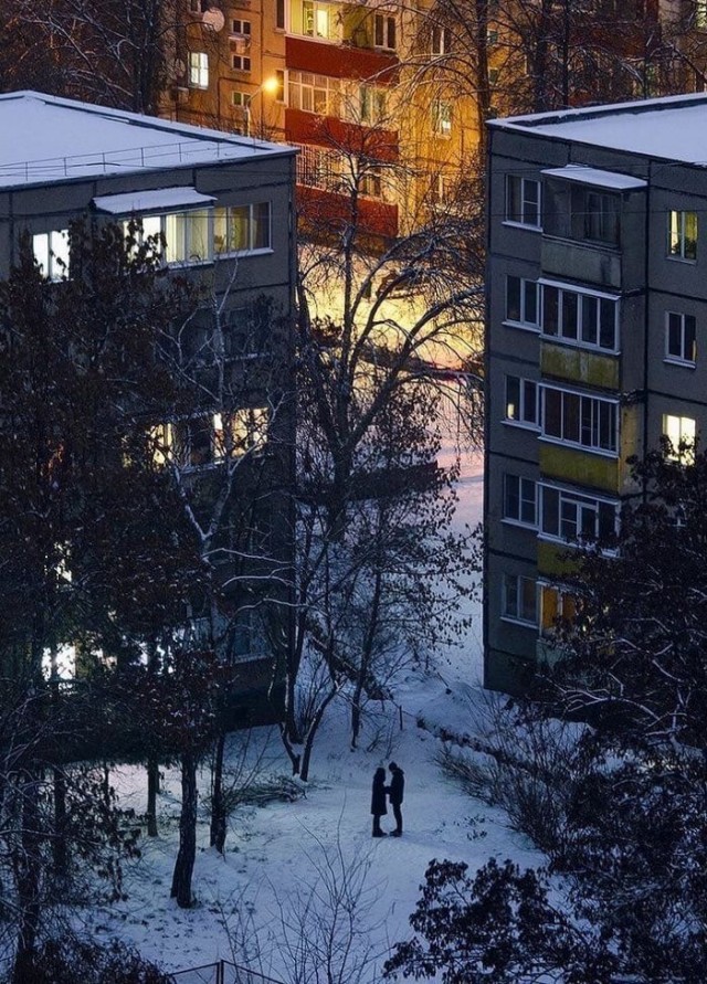 Прикольные и просто красивые картинки 31.12.2024