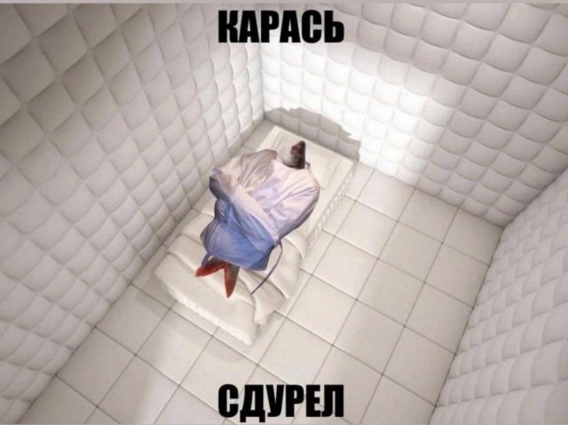 Всего понемногу. От 20.01.2025