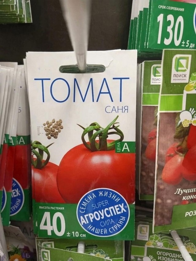 У меня муж дома