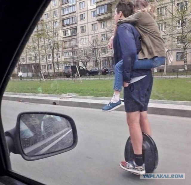 Низко полетел, к весне