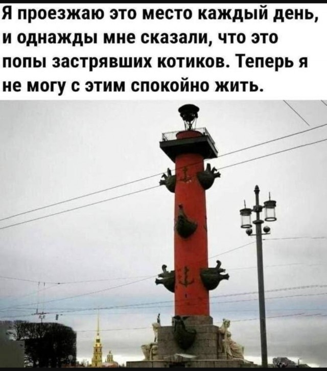 Жалуются на бояны местные.