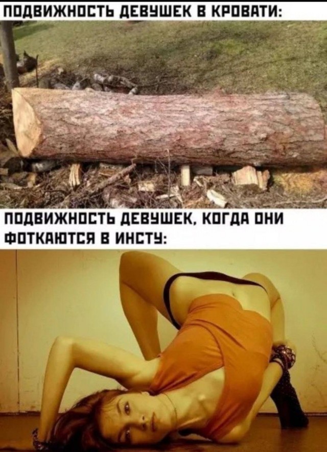 Веселые картинки в пятницу (15.08)