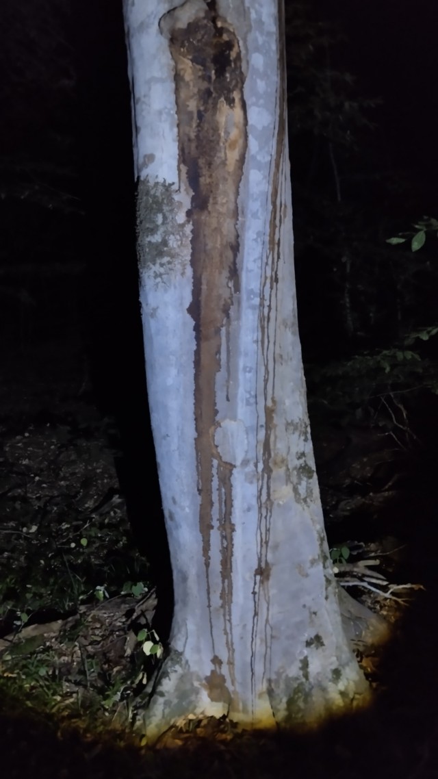 Клуб говорунов (литературный)