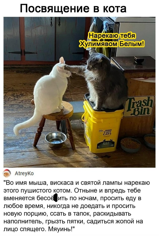 Так себе картинки 15.09.25