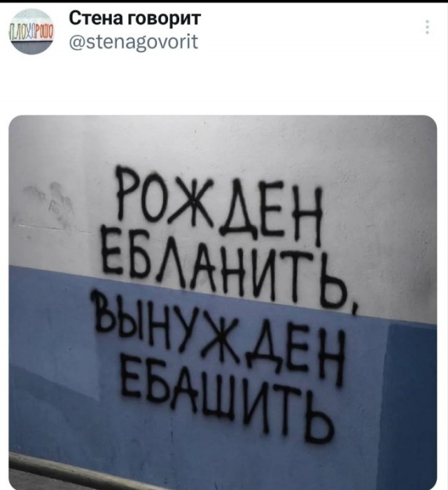 Картинки