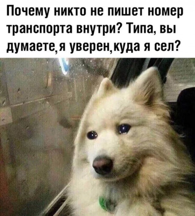 Пятничные картинки