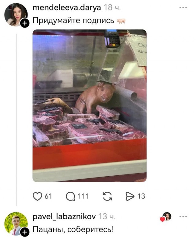 Воскресные картинки