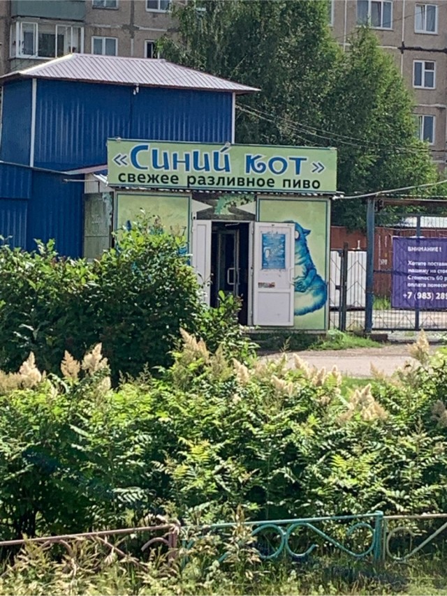 Если бы меня попросили охарактеризовать себя одной фразой