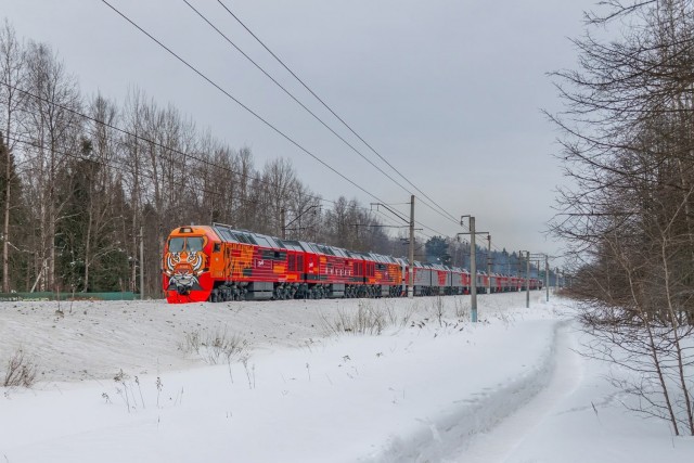 Хищный красавец из Брянска