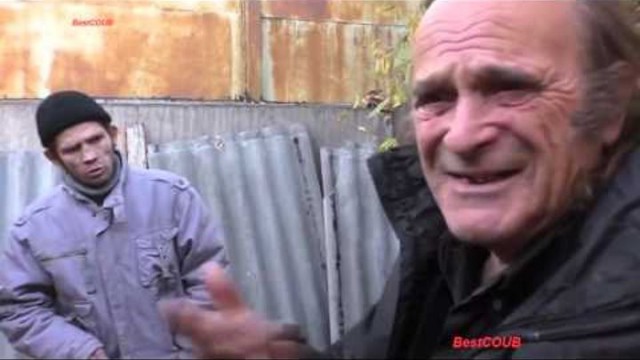 Про коров и вегетарианцев.
