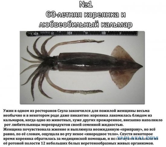 ТОП-10 паразитов, которые могут жить в человеке