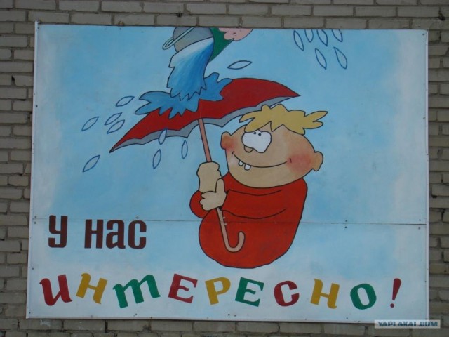 Летние наблюдения