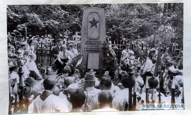 Пионерское лето.