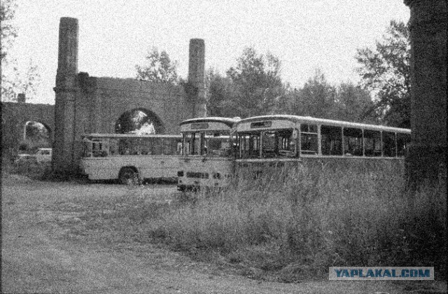 Визуализируем свои Дни Рождения