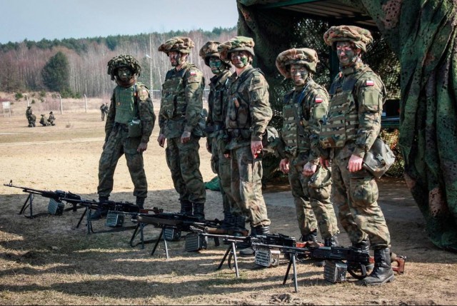 Под Луганском уничтожены десятки польских