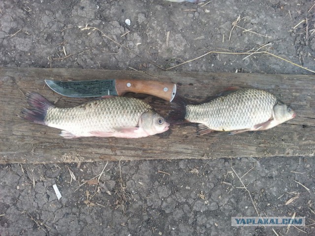 Как провести день, или сказка наяву!