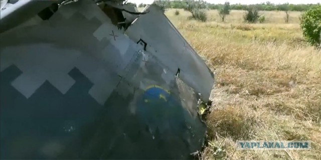 Сбитый МиГ-29