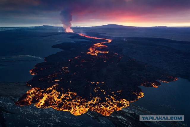 Лучшие фото 2014 года