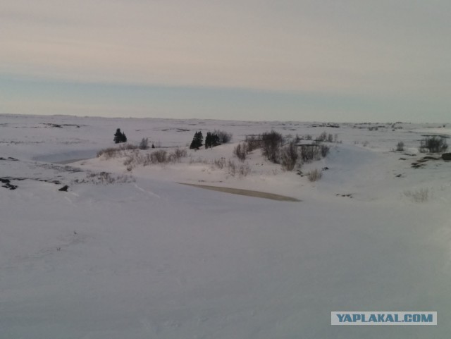 Дары Севера
