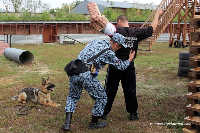 Центр кинологической службы Упр-ния на транспорте