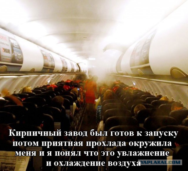 Подборка прикольных картинок